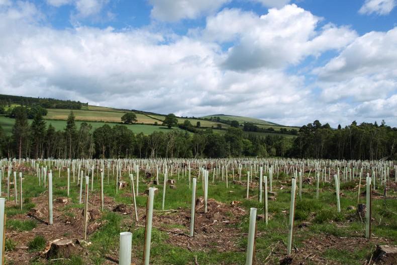 Website launched to support engagement with nature restoration plan