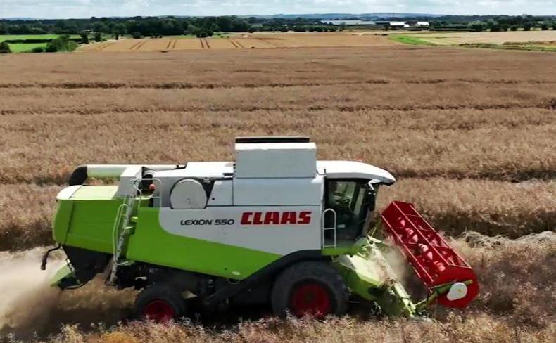 Watch: looking for big yields in Wee County on day four of Crop Tour