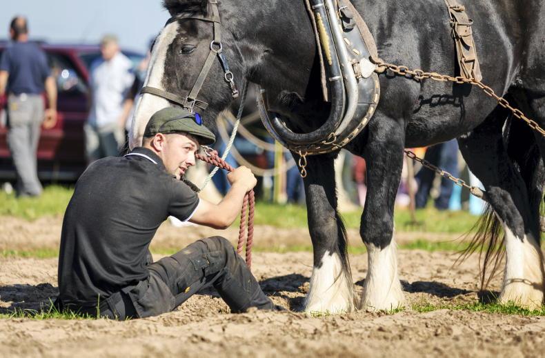 In pictures: sun and smiles from Ploughing 2024 in Ratheniska