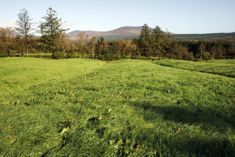Amendments made to GAEC 2 appeal forms – IFA