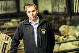 Government robbing nature restoration fund for Dublin metro - INHFA