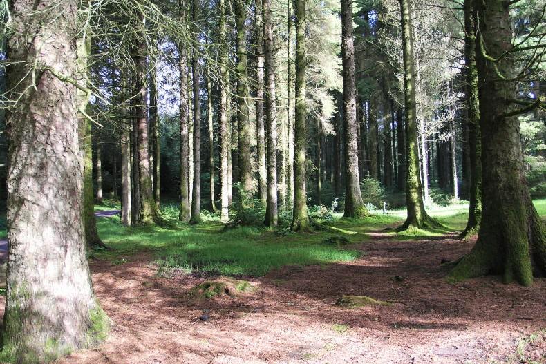 €4m for Coillte to establish new trails and to repair storm damage