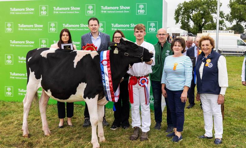Celebrating excellence in dairy at the Tullamore Show 2025