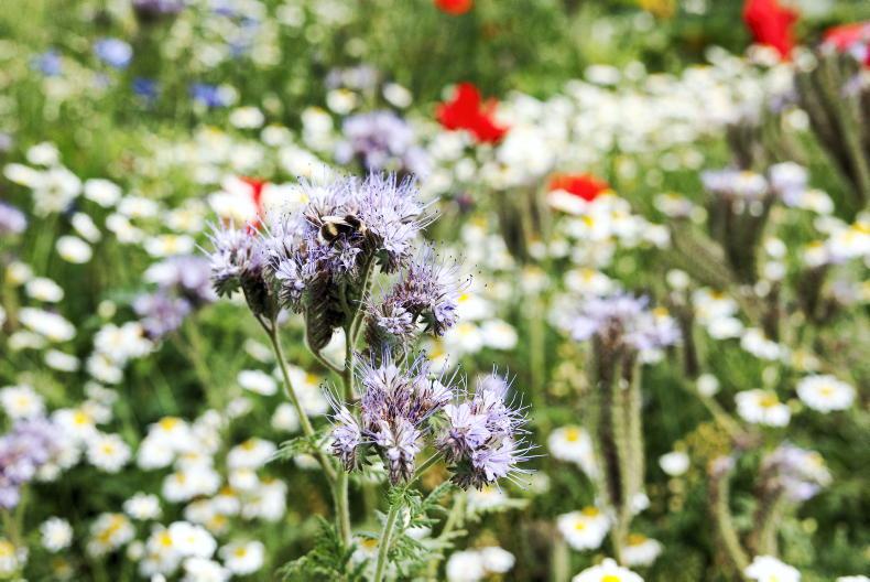 Photo competition: 24 hours to get your sustainability photos in 