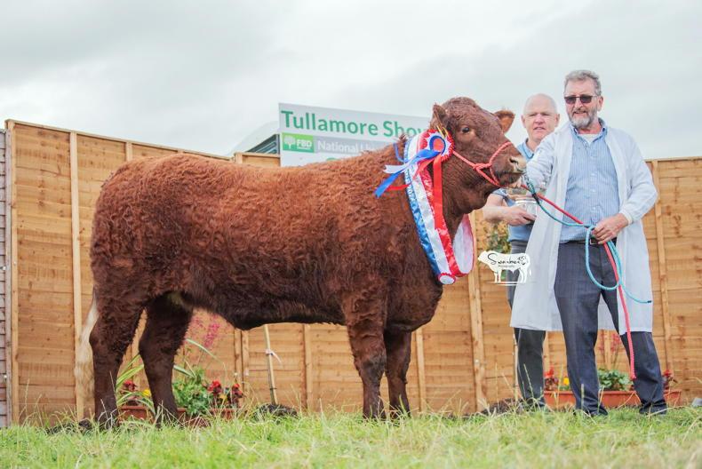 Blondes and Salers to celebrate milestones at Tullamore