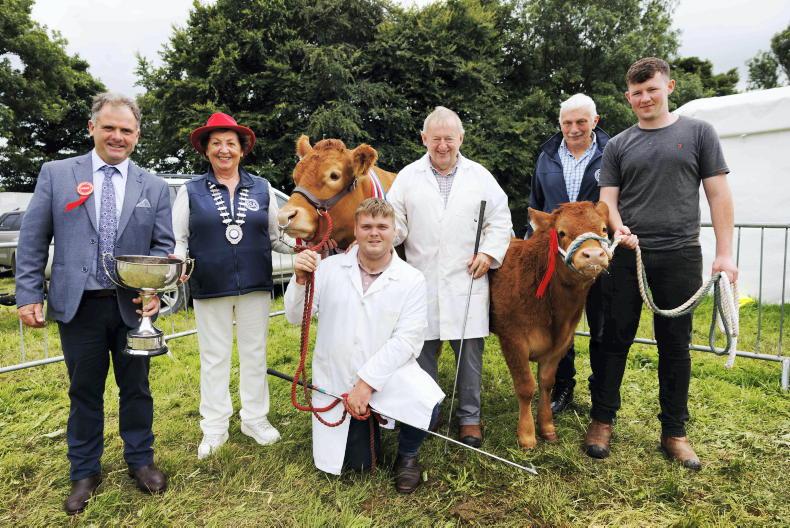 In pictures: double win for Limousin at South East Clare Show