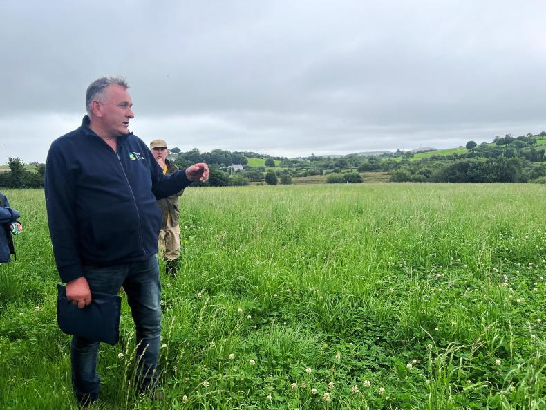 Nature friendly livestock farming in Fermanagh