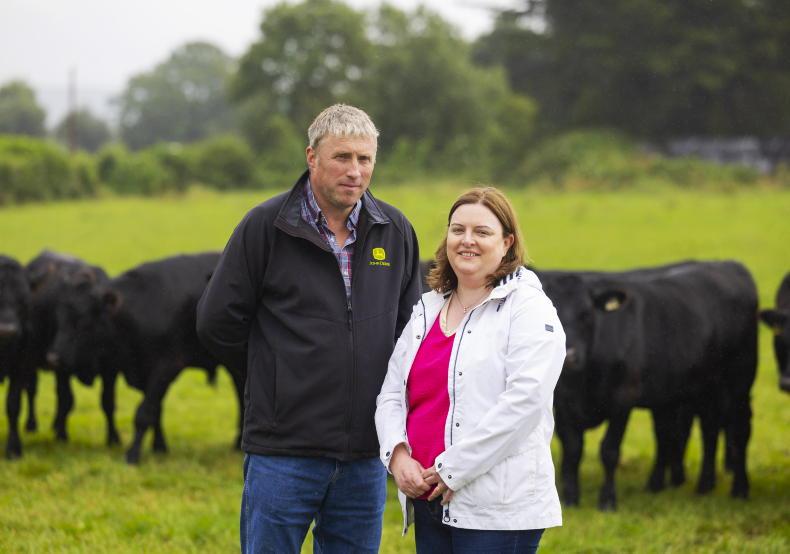 Direction of the beef market to feature at Cork farm walk