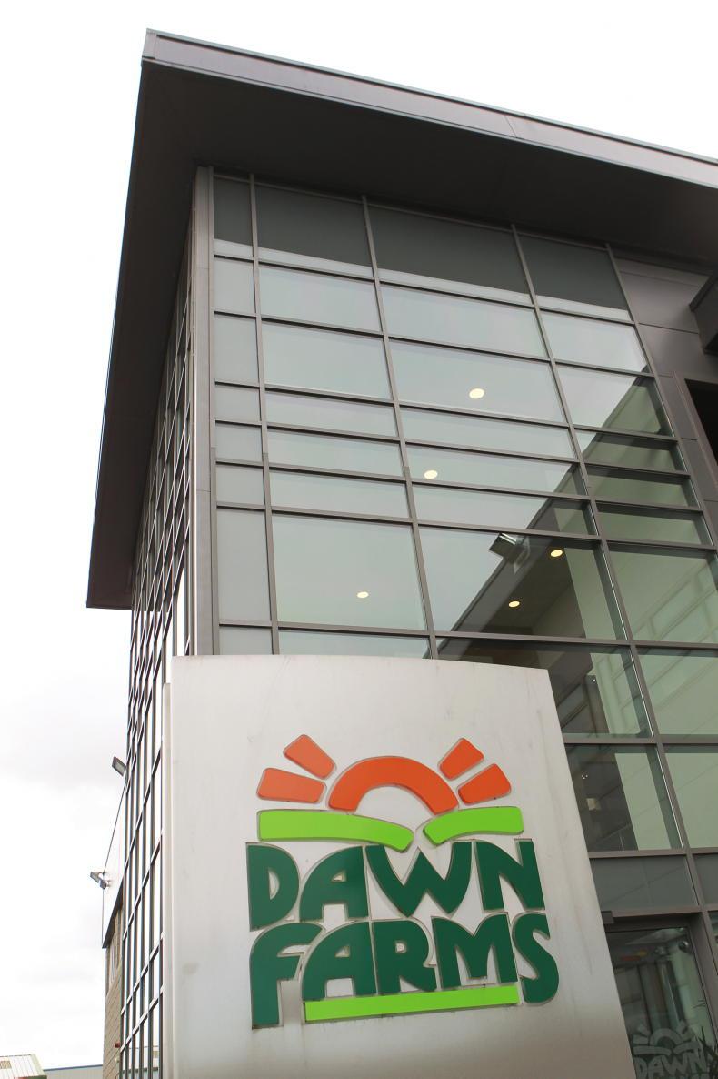 Positive trading year for Queally owned Arrow group