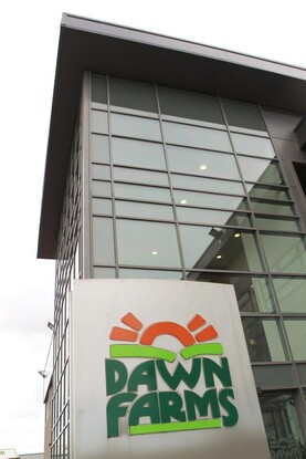 Fixed assets sale reflected in bottom line at Queally owned Arrow group