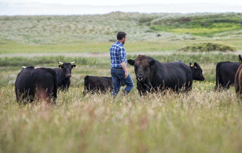 Tax group says no to new farm income volatility tool
