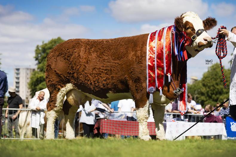 Annick Ginger's Lucia wins her second Scottish national title