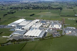 What Dawn Meats would get from a stake in New Zealand’s Alliance group