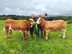 My Showing Week: Michael Dolan, Corlough, Co Cavan