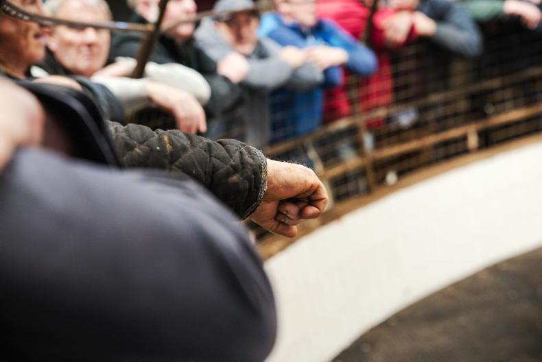 Martbids Database: mart trade hits new August highs