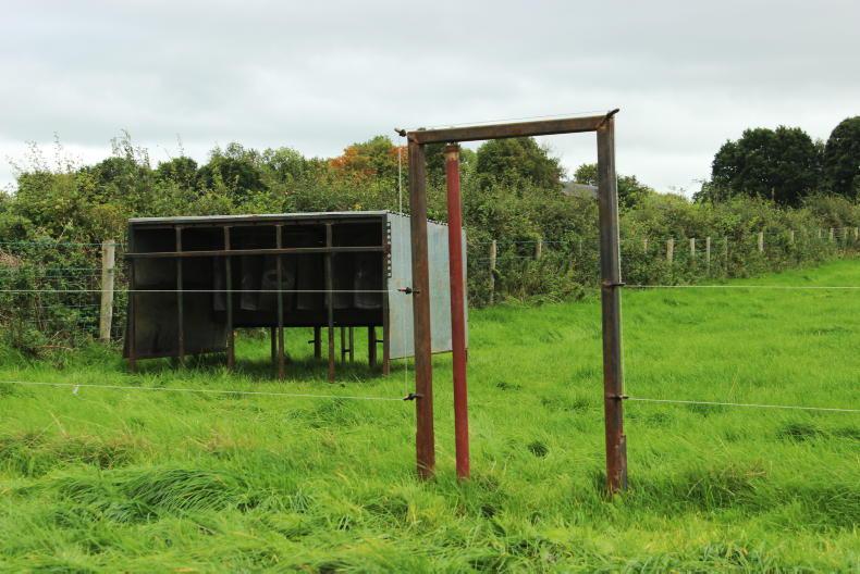 Beef Management: meal feeding for BWS dates and in-spec bonus criteria