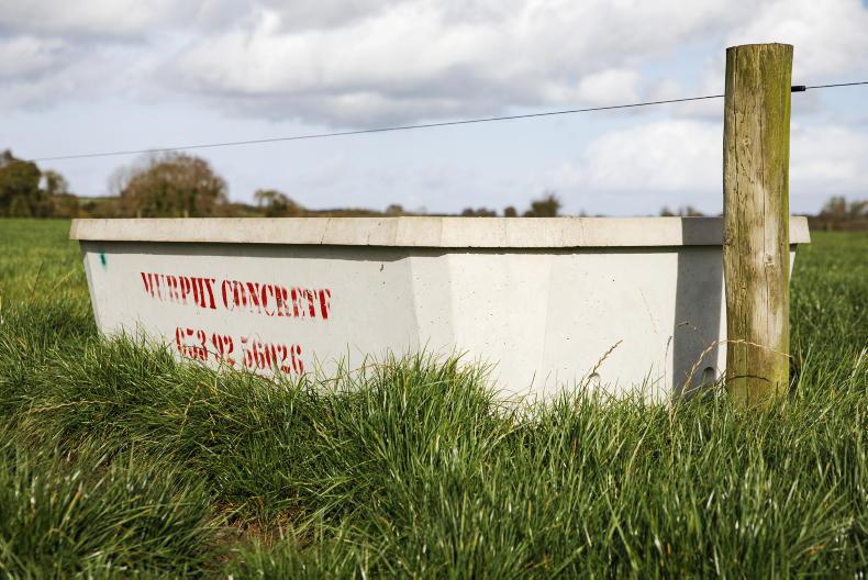 Grass+ Beef: growth holding firm but evenings shorten