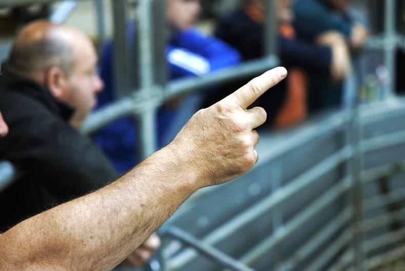 Lamb prices stable after slip 