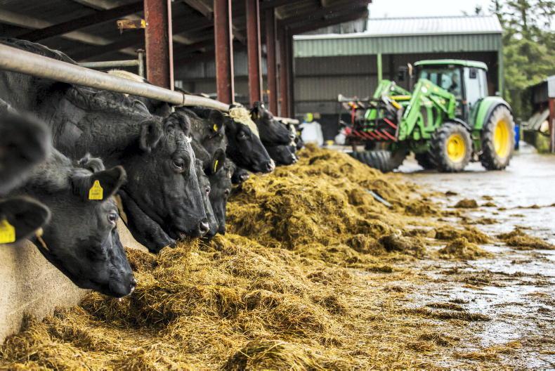 90% of farms have enough fodder for coming winter – Teagasc