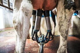 Grants drive Teagasc income up for 2024