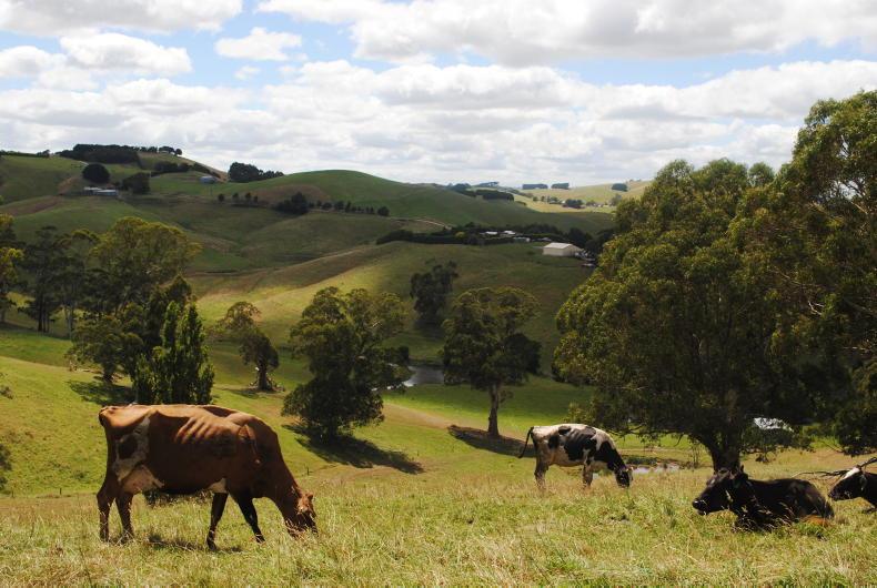 Australia develops foot-and-mouth vaccine