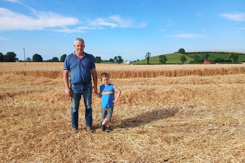 Harvest photo competition: share your photos of harvest 2025