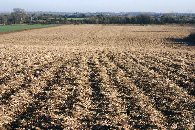 Recap: stubble cultivation rules 