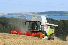Watch: this week in pictures as harvest, new life and shows unfold