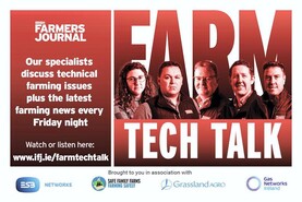 Farm Tech Talk: hot weanling trade and latest sheep price moves