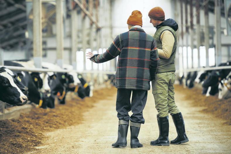Legal advice: succession planning and collaborative farming
