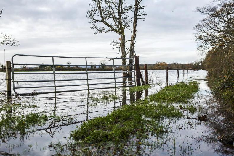 Agriculture adaptation plan reaches public consultation stage