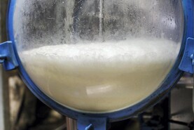 Milk intake rises over 50m litres in June – CSO
