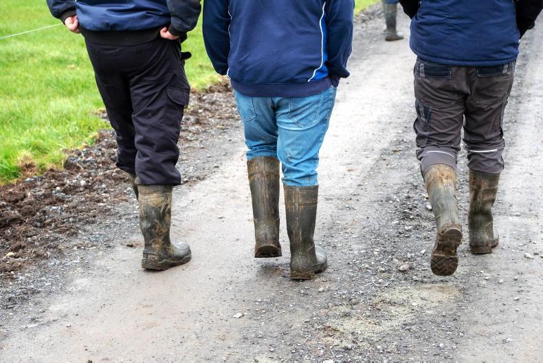 ‘More ambitious’ forgotten farmers scheme needed – IFA