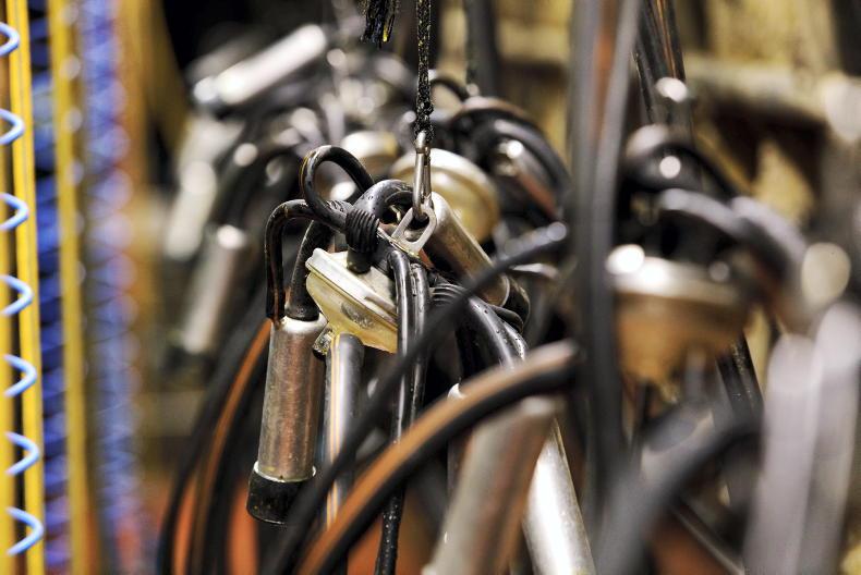 Key considerations when planning a milking facility