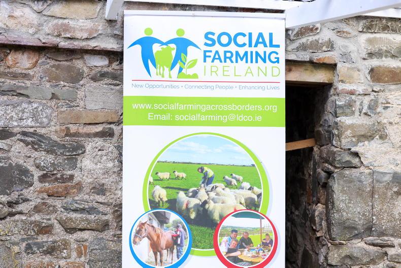 Leitrim Integrated Development successful tenderer for Social Farming Network 
