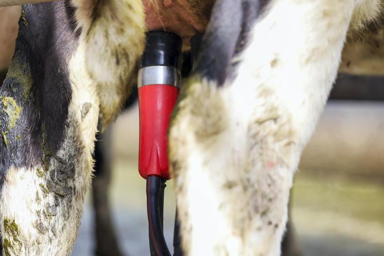 Dairy markets justify holding July’s milk price - ICMSA