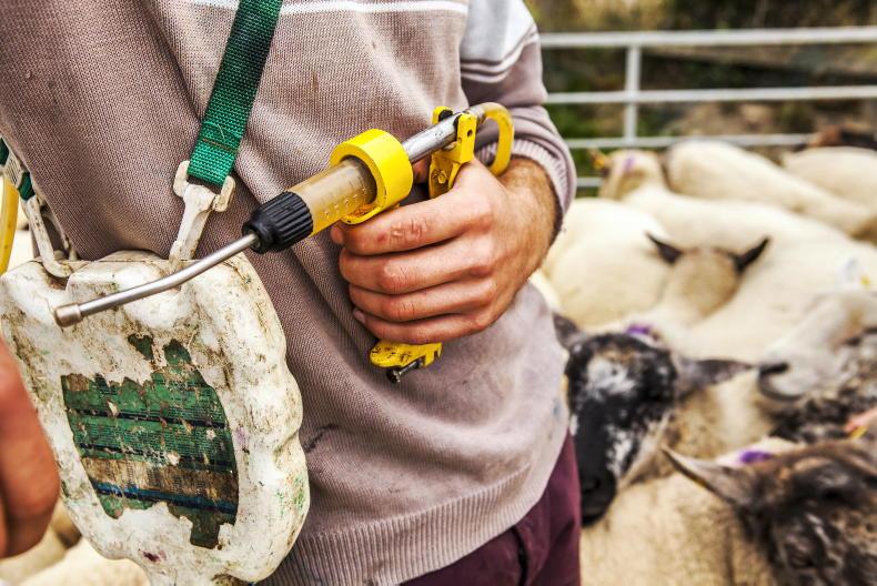 Warning over the use of dosing guns
