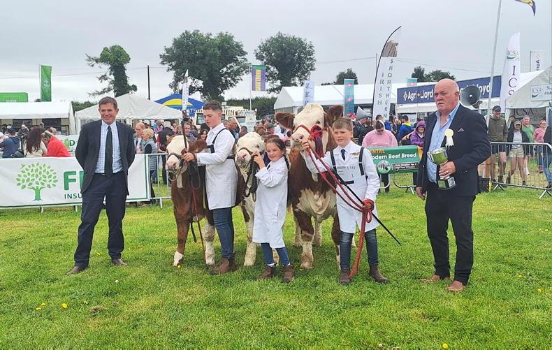 In pictures: winners from cattle rings at Tullamore Show