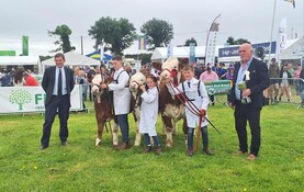 In pictures: winners from cattle rings at Tullamore Show