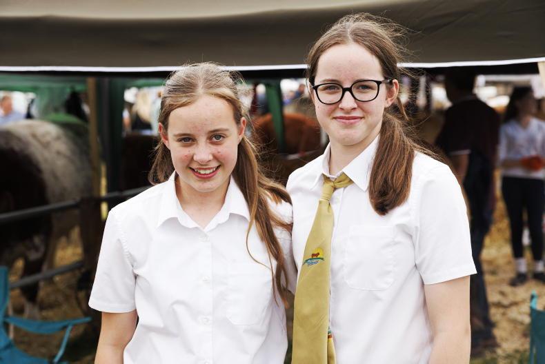 Young Stock Podcast: showing and succession at Tullamore Show