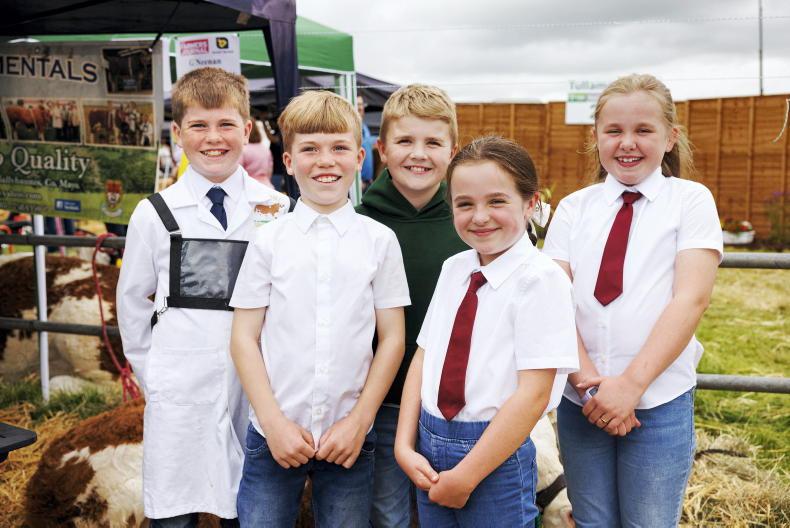 Farming enthusiasts galore in Tullamore
