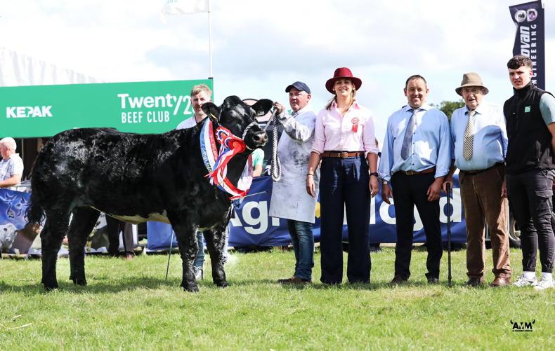  Baby Magic and Ruby reign supreme in Tullamore