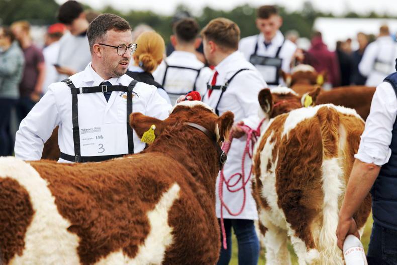 In pictures: thousands throng to Tullamore Show 2025 