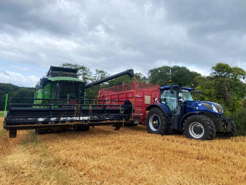 Harvest continues as cover crops go in