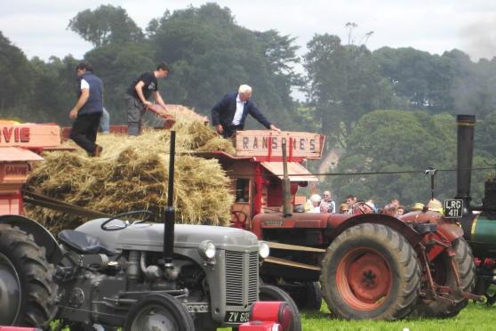Watch: Tánaiste tries threshing 