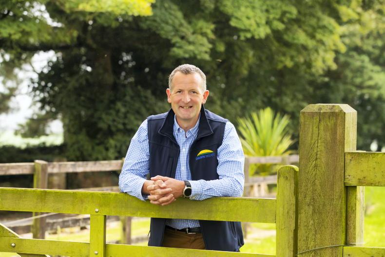 Dawn Meats selected as preferred strategic partner for New Zealand processor 
