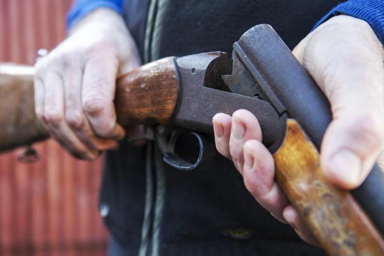 Gun clubs in favour of trespass law review