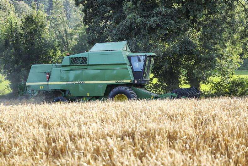 Tillage management: oilseed rape, stubbles and beans