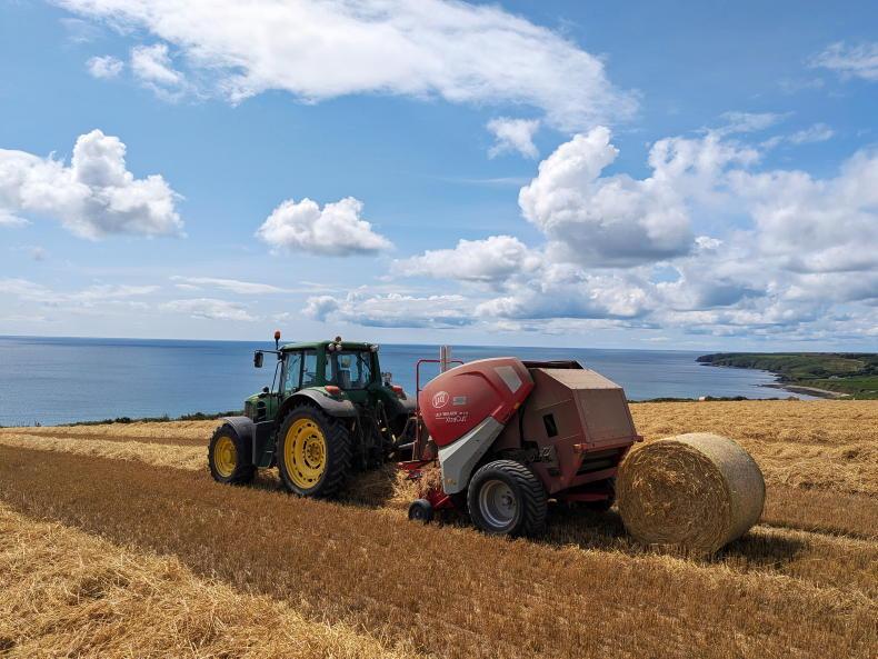 Straw prices steady as harvest races along