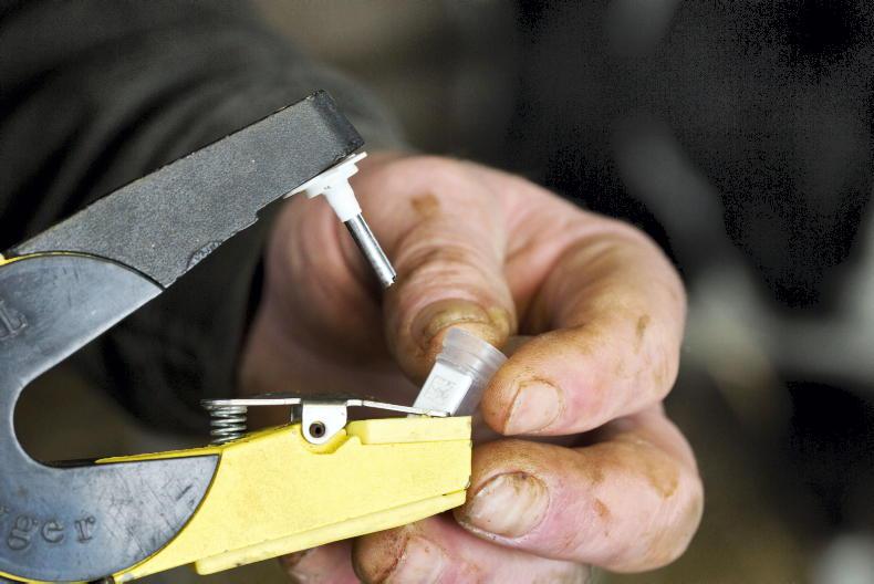 BVD samples taking three weeks to arrive at labs